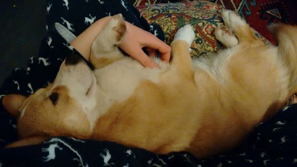 We are the Viroid Warriors! We are practising our PMAs and stockpiling the rare FRERs, come join us for the continued BFP boom...it's only bloody JS 60!!!