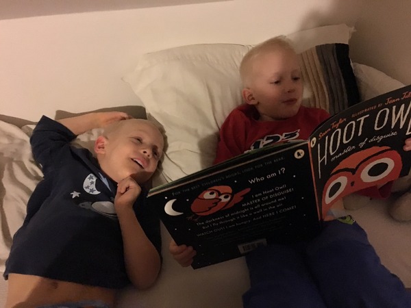 Book giveaway: Hoot Owl, Master of Disguise