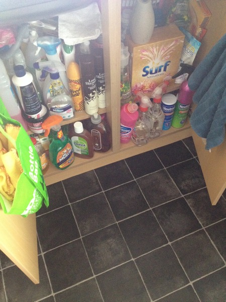 Need help with cleaning and decluttering...