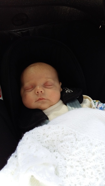 March 2016: the one where Indomitable gives birth...