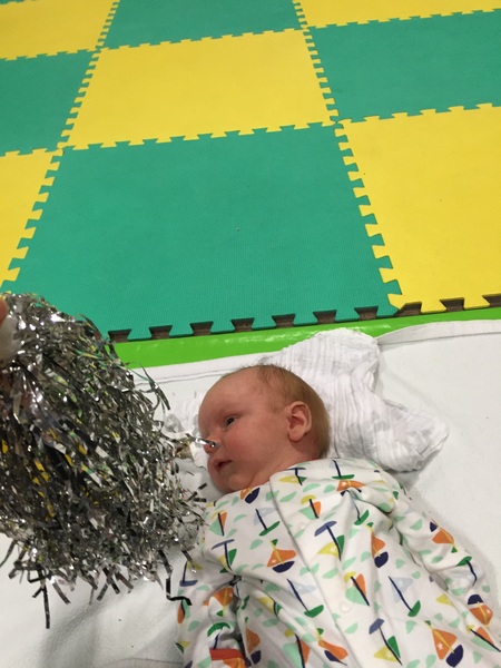 March 2016: the one where Indomitable gives birth...