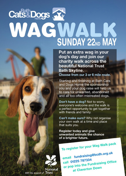 Wag Walk 2016