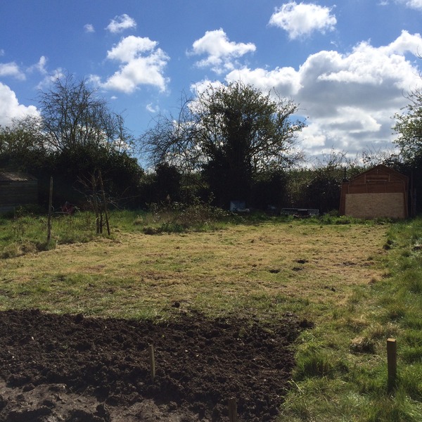Allotment/Veg Patch Thread 5 - The Diggers Rest !