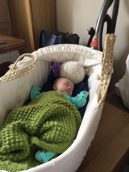 March 2016: the one where Indomitable gives birth...