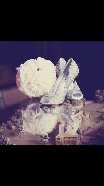 Dream Shoe?