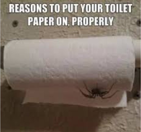 There is a silent war going on in my house