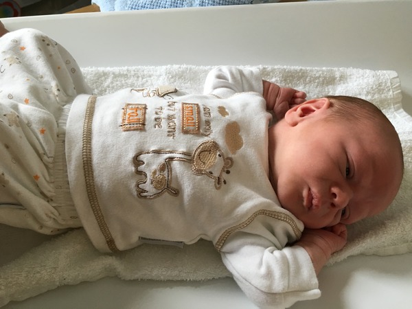 March 2016: the one where Indomitable gives birth...