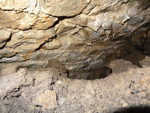 Zombie Continues Her Shuffle Into Spring