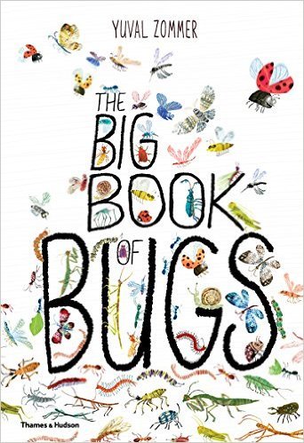 Win a copy of buzzily beautiful 'The Big Book of Bugs'