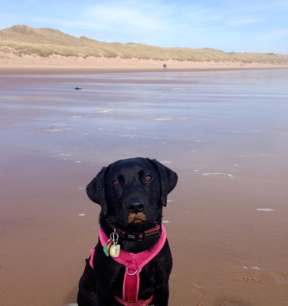 The Brave Babes Battle Bus - Springing Into Some Warmer Weather, Staying Sober Togeher