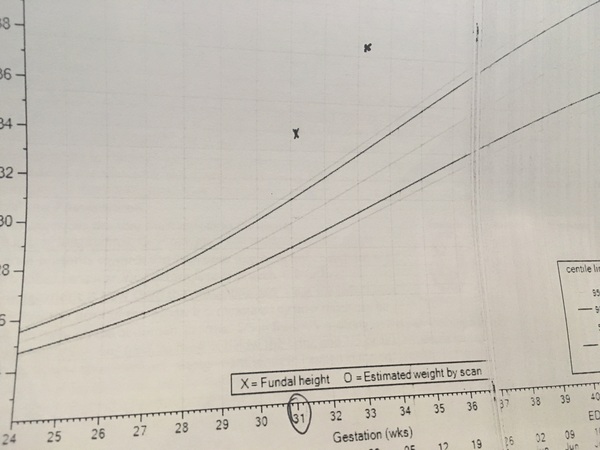 June #8 Kicks, rolls and thwacks! Need help putting socks on! Living off of chocolate! Its the last trimester people!!!!