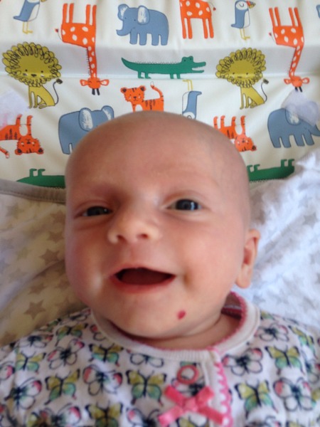 March 2016: the one where Indomitable gives birth...