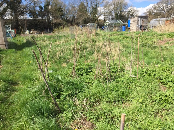 Allotment/Veg Patch Thread 5 - The Diggers Rest !