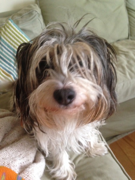 Find out what Mumsnetters thought of the Pedigree® Dog Food Range. £300 voucher prize draw for testers’ feedback. NOW CLOSED