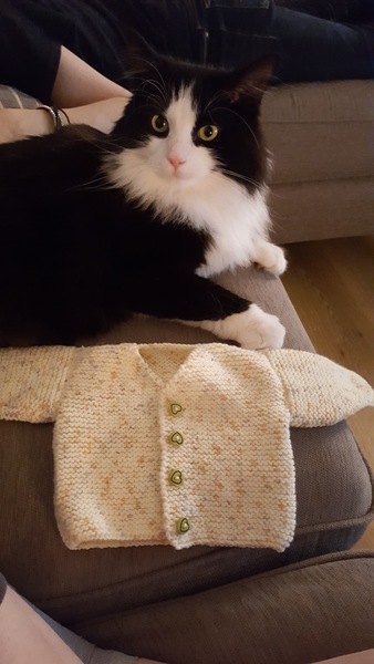 Thread #5 - TTC#1 grads thread - now we're cooking with charcoal!