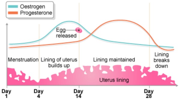 5:2 Thread number 62: "If God wanted me to touch my toes, she’d have put chocolate on the floor ?” There’s a more scientific approach to nutrition & fitness in our friendly support group.