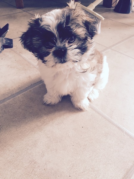 The Brave Babes Battle Bus - Springing Into Some Warmer Weather, Staying Sober Togeher