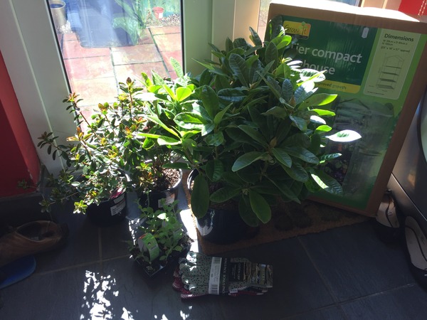 March 2016: the one where Indomitable gives birth...