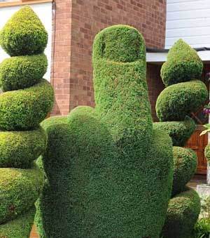 Twat topiary
