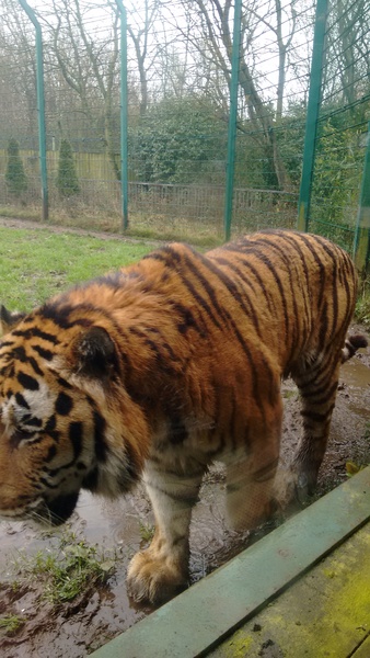 Zombie Continues Her Shuffle Into Spring