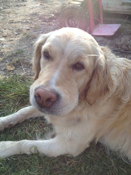 Rabbit poo and mud for dinner!  Yum!
