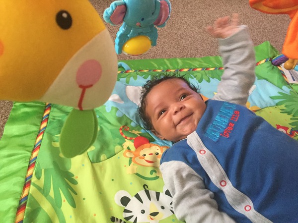 March 2016: the one where Indomitable gives birth...