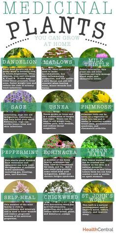 If I want to build an old school herb and medicinals garden, what should I put in it?
