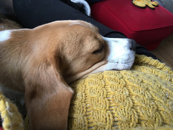 Thread #4 - TTC#1 the one where Stark joins the grads!!!!