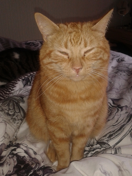 Our Girl and Captain James Addicts Thread XXXIV