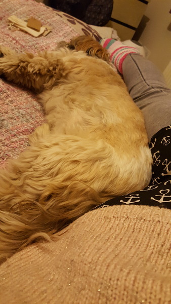 Thread #5 - TTC#1 grads thread - now we're cooking with charcoal!