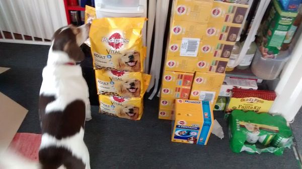 Find out what Mumsnetters thought of the Pedigree® Dog Food Range. £300 voucher prize draw for testers’ feedback. NOW CLOSED