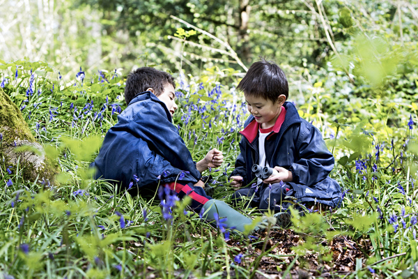 Are you disappointed with your son's allocated school place for September 2016?