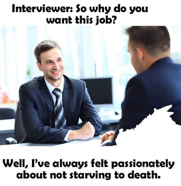 To ask why you go to work