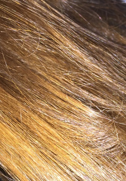 What colour is my hair? (picture)