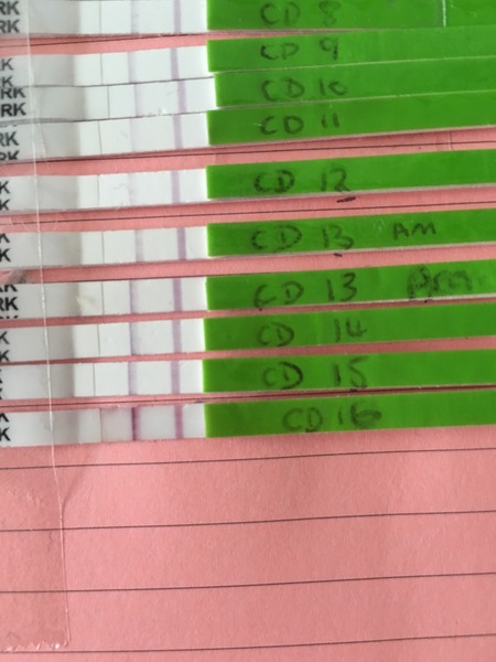 Back to SQUARE ONE CD1! Anyone want to spend April with me?!