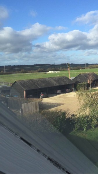 Buy a house near power line?