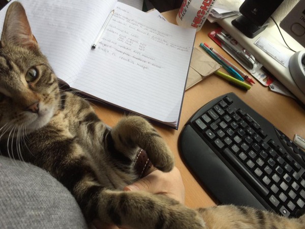 Girlkitten is dead