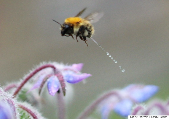 To wonder why people insist on posting about 'MN Royalty'?