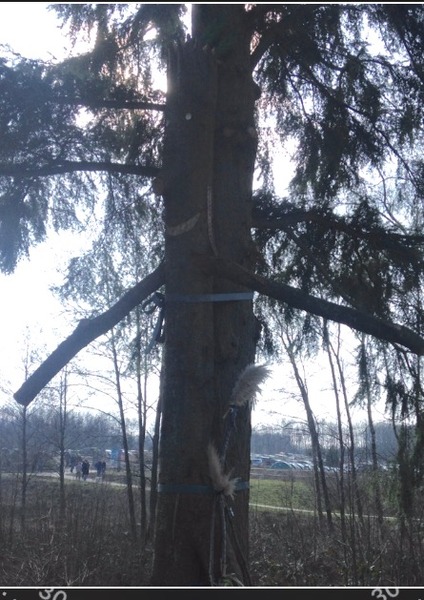 Amazing April Austerity.