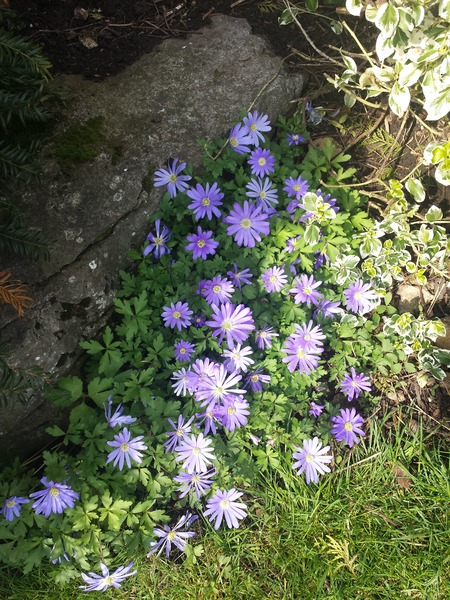 Can anyone tell me what this is? Photo attached