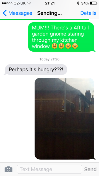 There's a gnome staring through my kitchen window over a 6ft high fence...