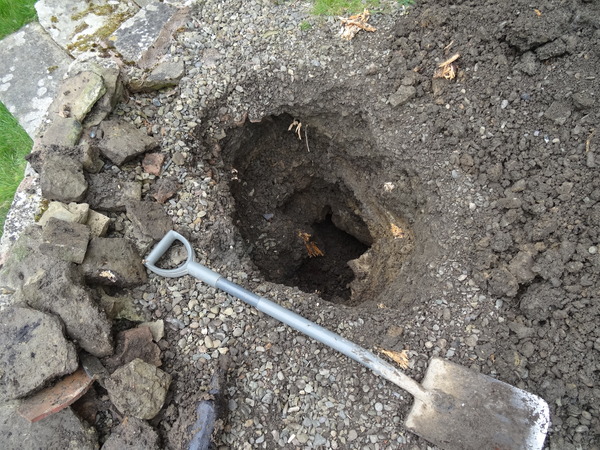 Zombie Continues Her Shuffle Into Spring