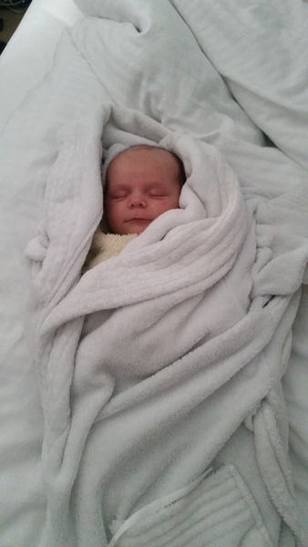 March 2016: the one where Indomitable gives birth...