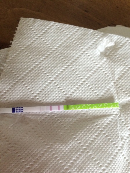 Back to SQUARE ONE CD1! Anyone want to spend April with me?!