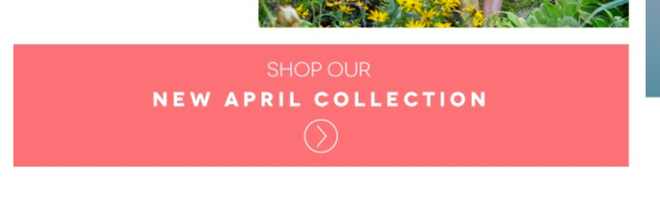 Shop the..............