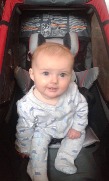 Thule Cougar feedback thread – chance to win a Sapling Elite Child Carrier for non-testers NOW CLOSED