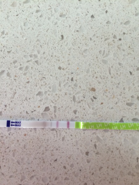 Back to SQUARE ONE CD1! Anyone want to spend April with me?!