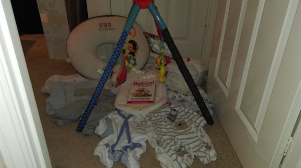 September 2016 - End of pregnancy sickness is in sight....please!