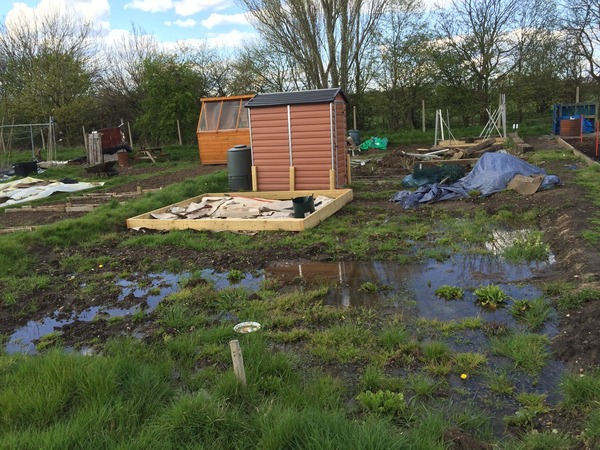 Allotment/Veg Patch Thread 5 - The Diggers Rest !