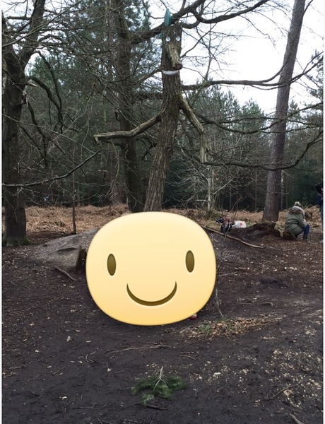 Amazing April Austerity.